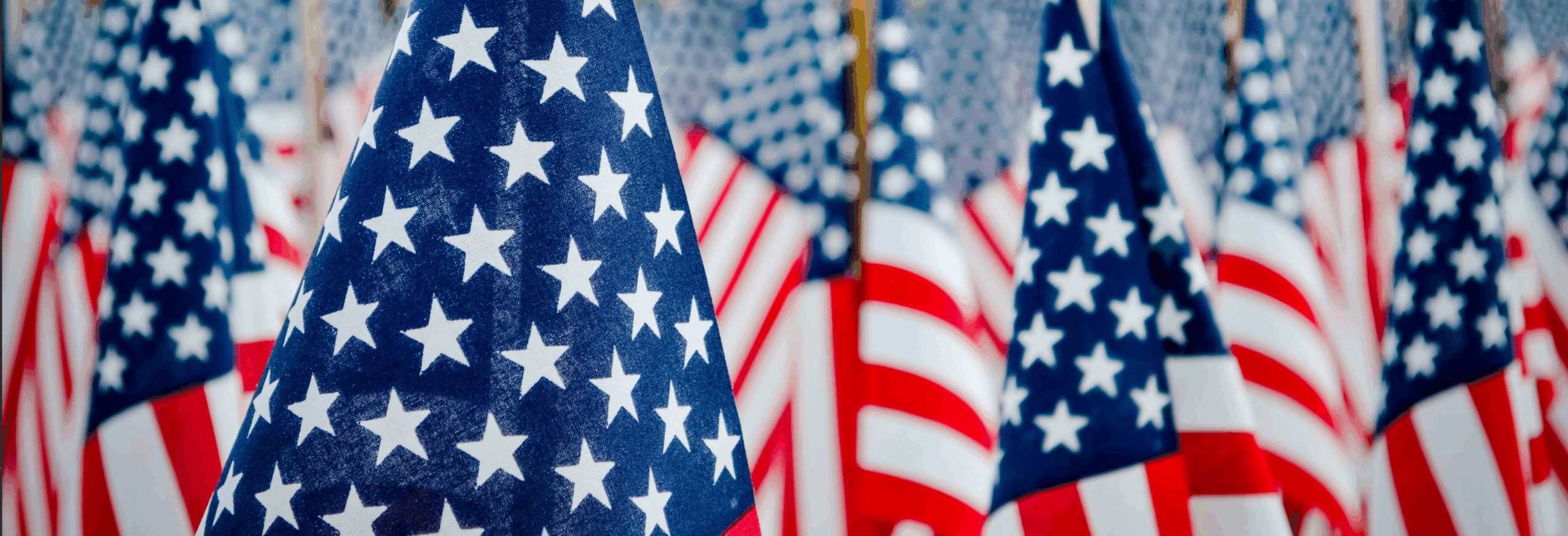 American flags for vets, Veterans on Duty
